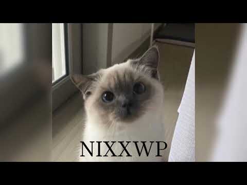 Видео: Рандомный плейлист ускоренных песен | Часть 2