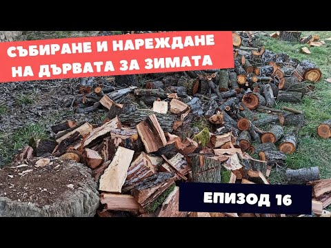 Видео: Събиране и Нареждане на дървата за Зимата в Плевника/Живот на Село