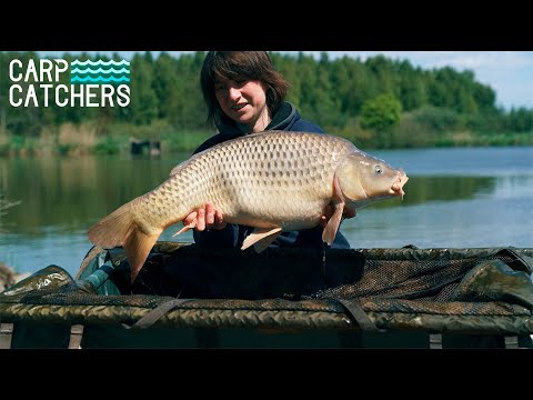 Видео: Карпфішинг у Європі: ловля коропа на водоймі Кінтай, Литва