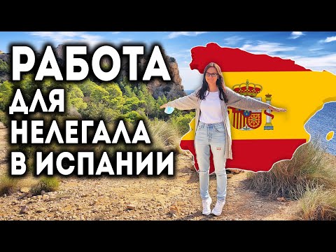 Видео: 📢 Работа для нелегала Переезд в Испанию 2025