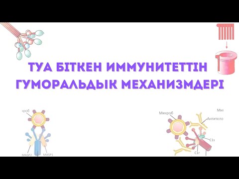 Видео: Туа біткен иммунитеттің гуморальдық механизмдері - КОМПЛЕМЕНТ жүйесі