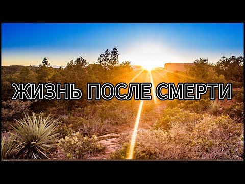 Видео: Жизнь после Смерти