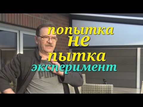 Видео: Как борются в Германии с улитками. Такой способ очень прост.
