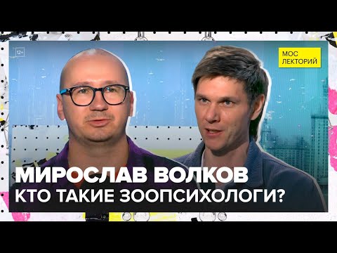 Видео: Как животные принимают решения? | Мирослав Волков Лекция 2025 | Мослекторий