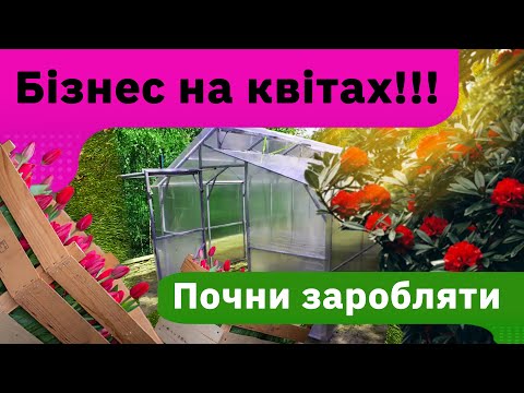 Видео: Квітковий бізнес. Рецепти успішного початку вирощуванні квітів в теплиці.