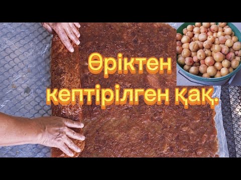 Видео: #сары өрікті кептіру.#пайдалы кеңес/#бақша ағаштары/