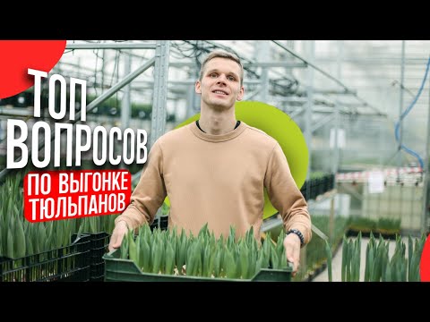 Видео: ТОП вопросов по выгонке