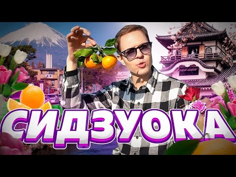 Видео: Самая анимешная префектура Японии. Что делать в Сидзуоке | 3/8