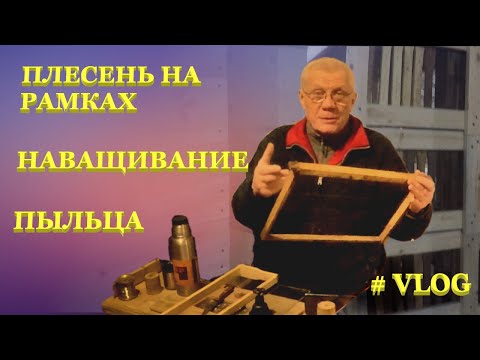 Видео: Весенние работы на пасеке. Как очистить рамки от плесени.