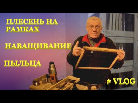 Видео: Весенние работы на пасеке Как очистить рамки от плесени