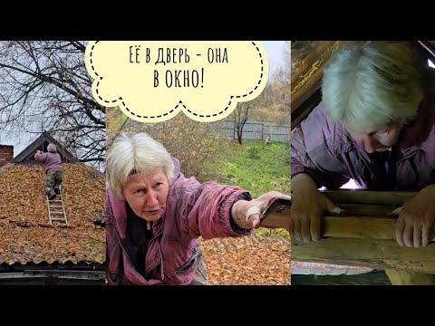 Видео: Сыч Лучик очень не любит гостей, а они лезут и лезут! Ирина Александровна влезла в дом через окно!