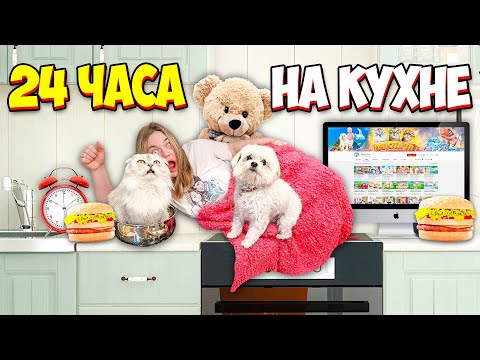 Видео: 24 ЧАСА НА КУХНЕ С 4 КОТАМИ! ПРОВЕРЯЕМ ЛАЙФХАКИ ИЗ ТИК-ТОКА