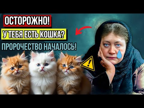 Видео: Что предсказала Елена Блаватская для тех, у кого есть КОТ ДОМА — уже началось, и ВСЕ В ШОКЕ