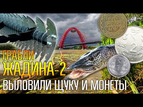 Видео: ПЛЯЖНЫЕ ПОИСКОВЫЕ ГРАБЛИ ЖАДИНА 2 ПРОТИВ МАГНИТА ☾☼ Выловили большую щуку и ценные монеты в реке