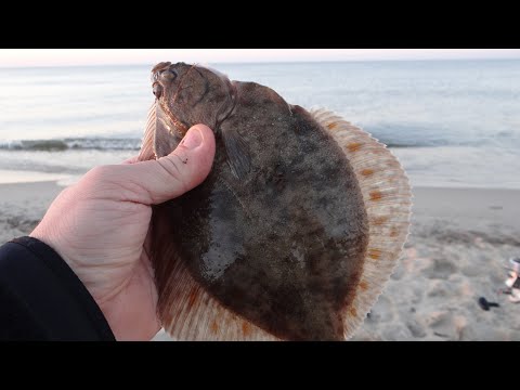 Видео: ЛОВЛЯ КАМБАЛЫ С БЕРЕГА ♦ ТЕСТ СПИННИНГА ♦ LESTAPÜÜK ♦ BEACH CASTING