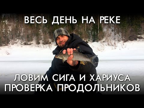 Видео: ВЕСЬ ДЕНЬ НА РЕКЕ / РЫБАЛКА НА СИГА И ХАРИУСА / ПРОВЕРКА ПРОДОЛЬНИКОВ