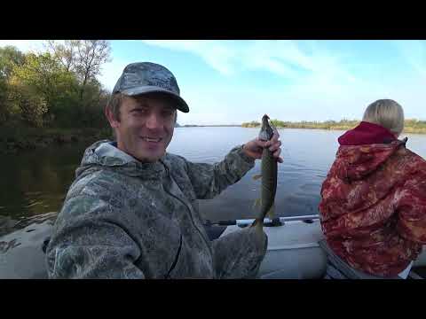 Видео: Осенний сплав по реке Юрюзань. 17.09.2023 - щука ест!