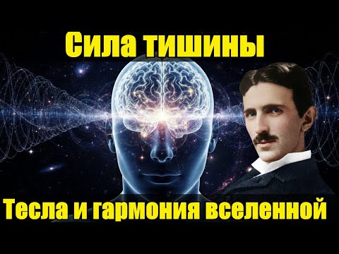 Видео: "Когда Вы Остановитесь, Вселенная Начнёт Работать На Вас — Откровения Теслы