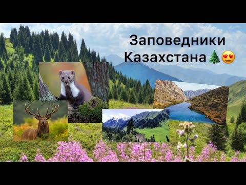 Видео: Заповедники Казахстана. Главные достопримечательности нашей страны.