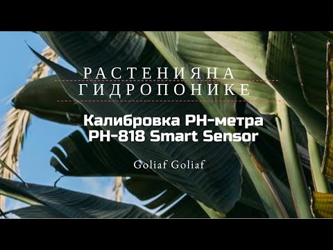 Видео: Калибровка #PH-метр #PH818 Smart Sensor
