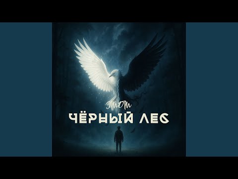 Видео: Этот Чёрный Лес