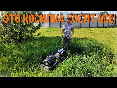 Видео: Если нужна газонокосилка то смотреть до конца!!! "Сумасшедшая" ГАЗОНОКОСИЛКА CAIMAN FERRO 47CVE