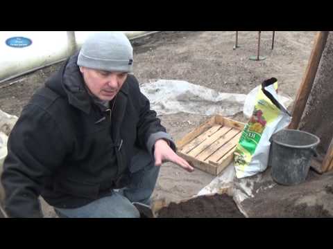 Видео: ЯЩИКИ И ПОЧВА ДЛЯ ВЫРАЩИВАНИЯ РАССАДЫ-ОЧЕНЬ ИНТЕРЕСНО!