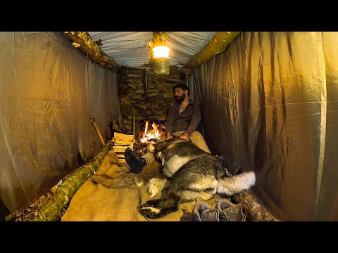 Видео: 3-ДНЕВНЫЙ КЕМПИНГ на выживание в одиночку; Рыбалка лови и готовь Строительство приюта для бушкрафтов