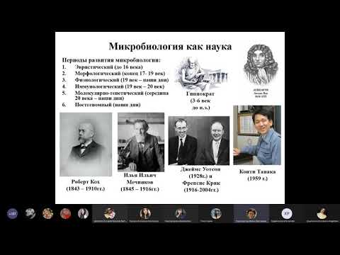 Видео: Классификация микроорганизмов. Методы окрашивания