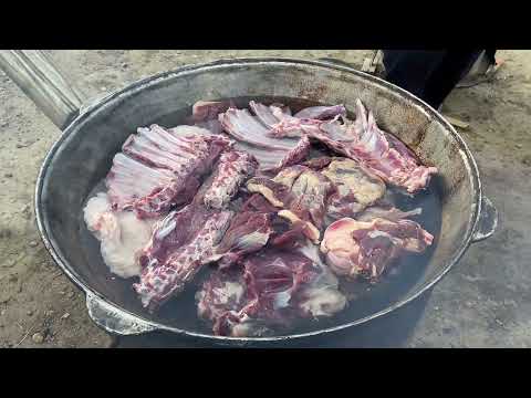 Видео: Готовим Бешбармак или Ет асу на казане 60 кг мясо и Куырдак на 10 человек. #beshbarmoq #cooking