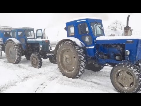 Видео: Тракторы в одном тракторе Т-40 обири в одном с тракторами