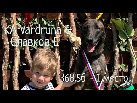 Видео: 08.04.24 Мондьоринг 3. Славков Евгений и малинуа КА Вардруна 368.5б - I место🏆