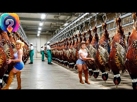 Видео: Как МИЛЛИОНЫ фазанов обрабатываются — Уникальные кадры выращивания фазанов и охоты на них!