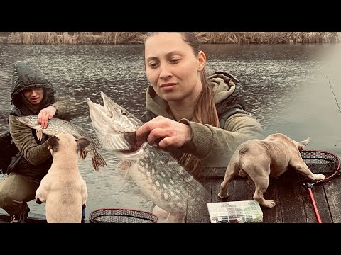 Видео: ПЕС ЧУТЬ НЕ ШТОВХНУВ У ВОДУ З ЩУКОЮ😱 Оце відкриття сезону 2025 року🤣