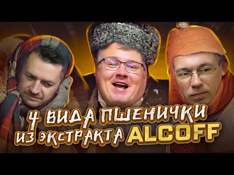 Видео: Пиво пшеничное из экстракта ALCOFF. 4 варианта. ДЕГУСТАЦИЯ. Дарю 4 литра пиваса