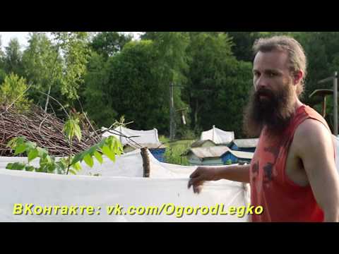 Видео: УСТАНОВКА ВЕТРОЗАЩИТЫ ДЛЯ САЖЕНЦА ОРЕХА