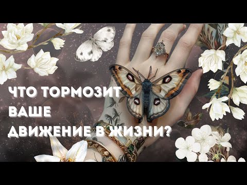 Видео: Период застоя | Что удерживает вас в стагнации ? #таро #tarot 