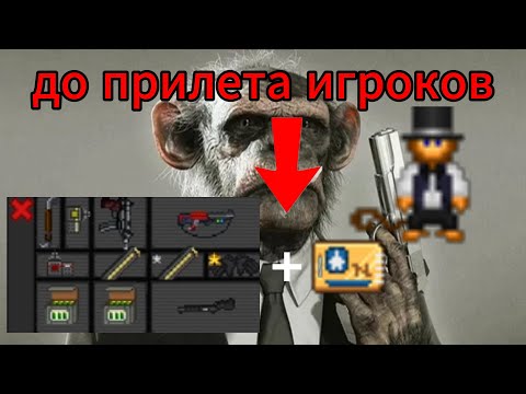 Видео: Афера Пун Пун
