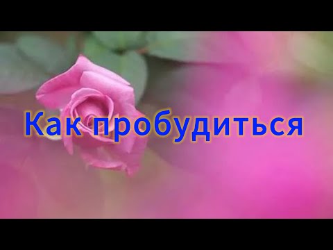 Видео: Как Пробудиться | Ответы на вопросы