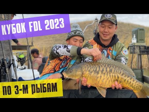 Видео: КУБОК FDL 2023 по 3-м крупным рыбам, спортивная карповая рыбалка, рыбалка на К-28.