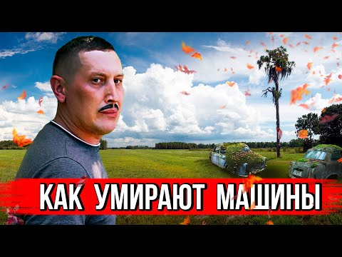Видео: Как умирают машины
