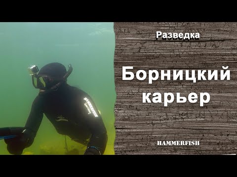 Видео: Борницкий карьер. Подводная охота в Ленинградской области. гидрокостюмы HAMMERFISH