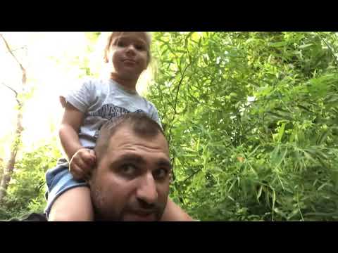 Видео: Прогулка с Марком. Влог. Реку в брод.