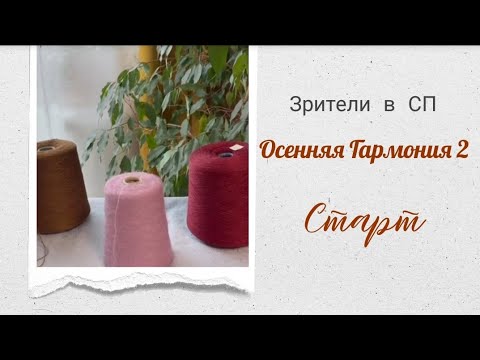 Видео: Зрители в проекте "Осенняя Гармония 2". Старт. #богинипряжи #осенняягармония #вязание