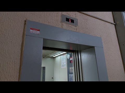 Видео: Лифты ЩЛЗ EcoMaks 2017 г. @ ул. Кулибина, 10, под. 1 (г. Владимир)