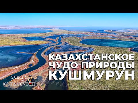 Видео: Озёрный лабиринт: Кушмурун, Убаган и десятки водоёмов с дрона!