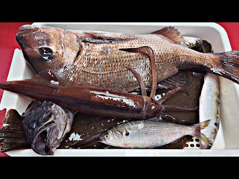 Видео: 6 видов морской рыбы в одной тарелке.