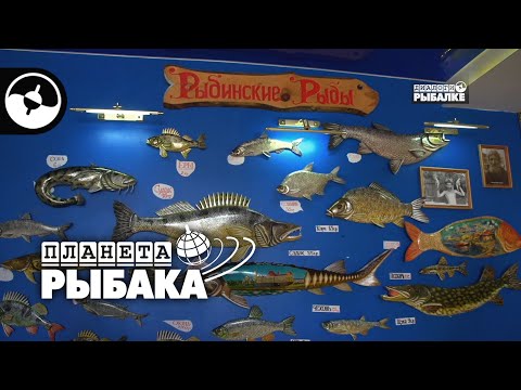 Видео: Рыбинск глазами рыболова | Планета рыбака