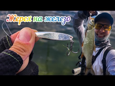 Видео: Жерех НА КУСОК ЖЕЛЕЗА! СУМАШЕДШАЯ ПРОВОДКА! Рыбалка на Жереха