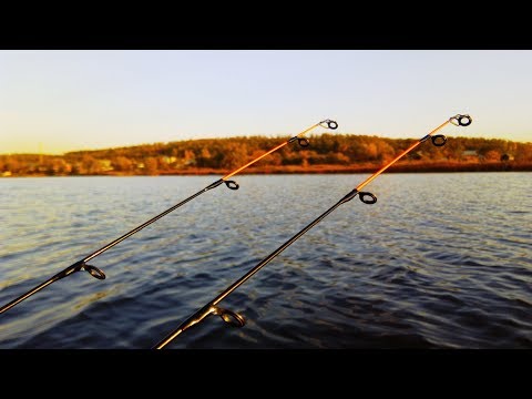 Видео: Ловля ПЛОТВЫ с лодки ОСЕНЬЮ